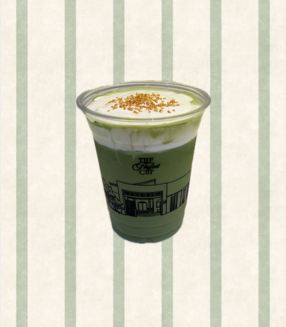 WhatsApp Image 2026-02-21 at 16.24.34